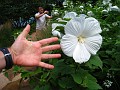 Botanical Gardens 2010 0385